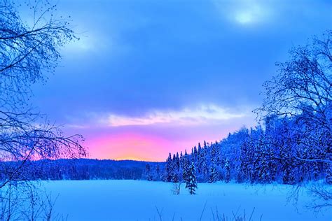 Winter Landscape Snow Forest Free Photo On Pixabay Pixabay