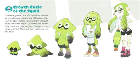 VideoGameArt&Tidbits on Twitter: "Splatoon - "Growth Cycle of the Squid
