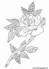 Rose Coloring Single Leaves Pages A4 Printable Color Print Flowers Parentune sketch template