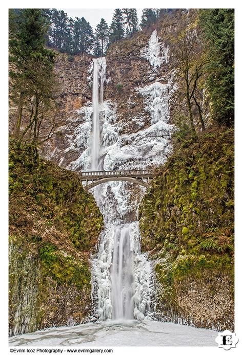 Multnomah Falls Wahkeena Falls Horsetail Falls Covered
