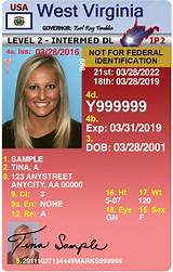 Wisconsin Temporary Fishing License Images