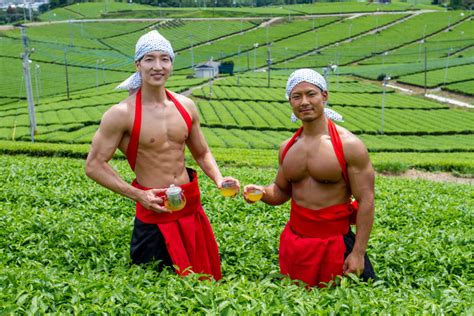 Muscular Japanese Men Pick Tea And Frolic In Tea Fields All Available