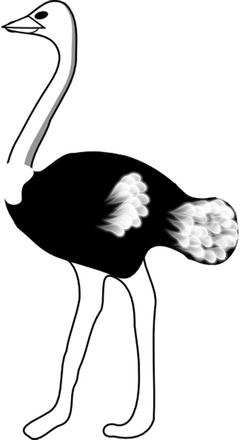 We hope you enjoy our growing collection of hd. Ostrich Clip Art at Clker.com - vector clip art online ...