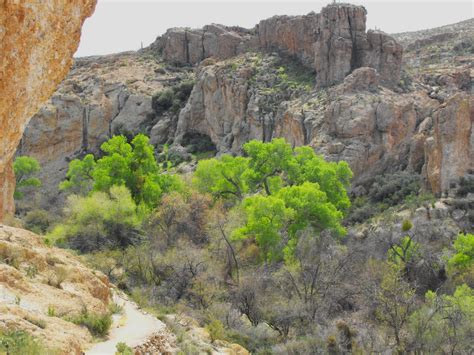 Wanderings Through Arizona Queen Creek