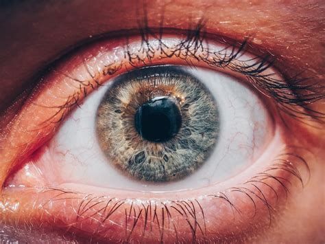 Close Up Of Human Eye · Free Stock Photo