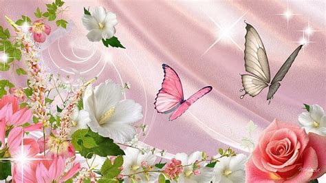 Hd Wallpaper Summer White Flowers Papillon Fleurs Butterfly Spring
