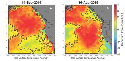 A Second ‘blob Marine Heat Wave Has Disappeared But The Warming Trend
