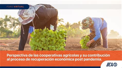 Perspectiva De Cooperativas Agrícolas Y Su Contribución A Recuperación