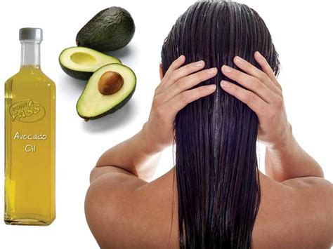 Avocado Oil For Hair Growth An Attention Grabbing Way Lewigs