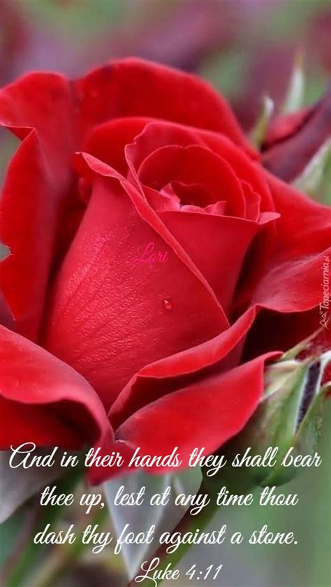 Pin By Mokey Jones On Daily Blessings Scripture Blessed Rose