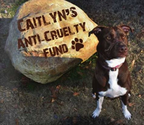 Once A Victim Of Horrific Abuse A Dog Named Caitlyn Leads The Way In