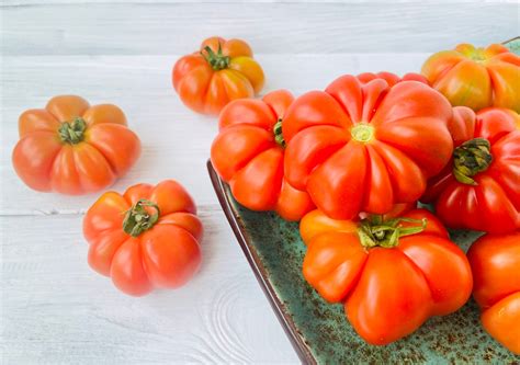 All About The Bountiful Homestead Tomato Minneopa Orchards