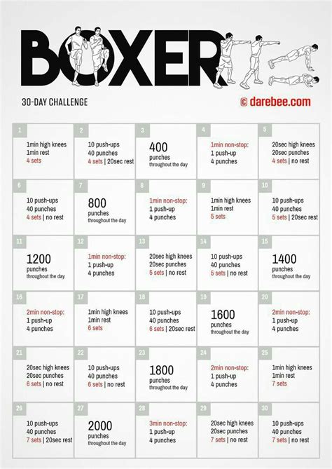 Boxer Workout Schedule Boxing Training Workout Boxer Workout Boxing