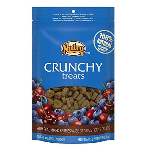 Nutro Crunchy Dog Treats With Real Mixed Berries 10oz 2 Pack