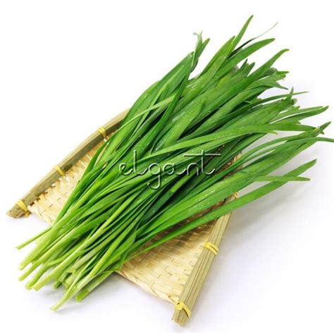 2019 Chinese Chive Leek Vegetable Seeds Garlic Chives Oriental Garlic