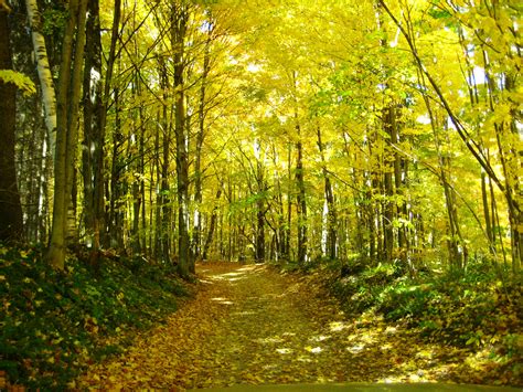 Vermonts Premier Hiking Spa Is Excited The Fall Foliage