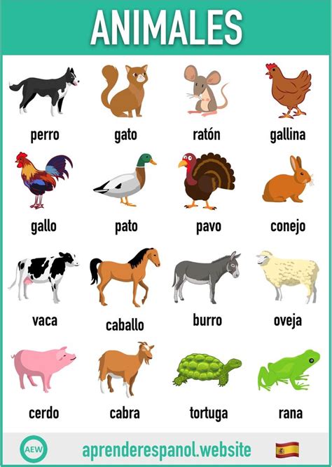Los Animales En Español Tarjetas De Vocabulario En Español