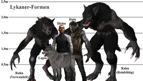 Lycanwerewolf Forms With Bitten L And Pure Blooded Born R