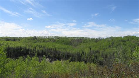 Vision And Mission — Edmonton And Area Land Trust
