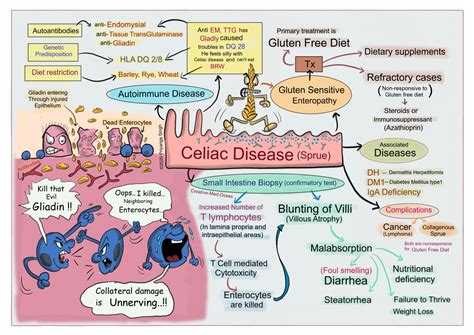 Celiac Disease Gluten Intolerance Creative Med Doses