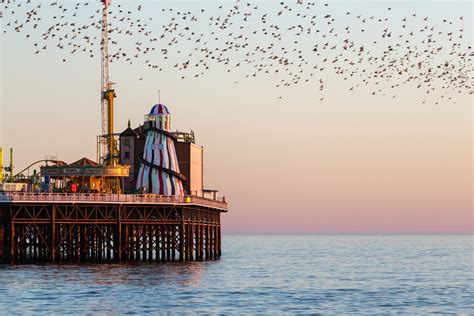 Starlings And Brighton Pier Starling Murmuration In Bright Flickr