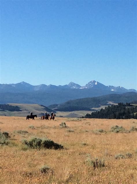 Horseback Riding Adventures - Explore Montana | Horseback riding vacations, Horseback riding ...