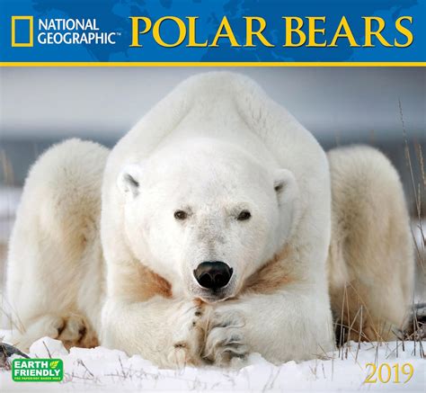 National Geographic Polar Bears 2019 Wall Calendar