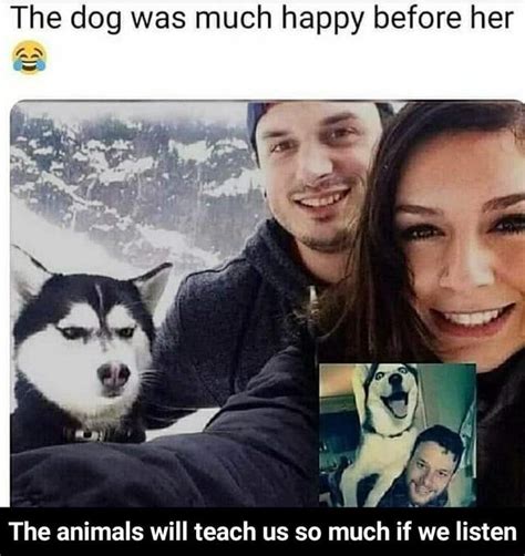 The Dog Was Much Happy Before Her As The Animals Will Teach Us So Much