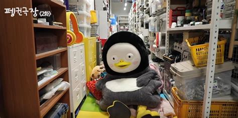 Feature Frank Penguin Becomes New Star Of Year Breaks Stereotype Of