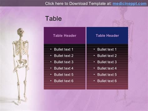 Free Human Skeleton Powerpoint Template
