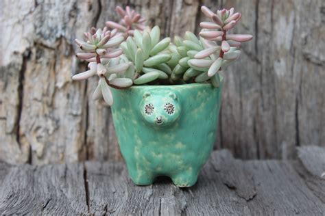 Ceramic Handmade One Of A Kind Planter Cactus Planter Etsy Seller
