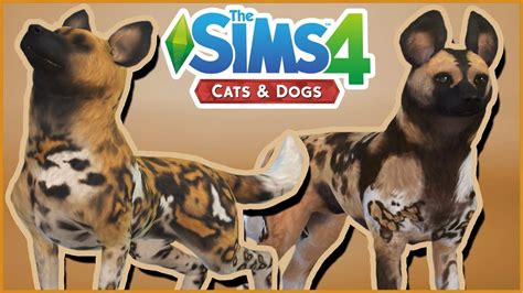 Gathering A Pack Of African Wild Dogs 🌿sims 4 Wild Animal Gallery
