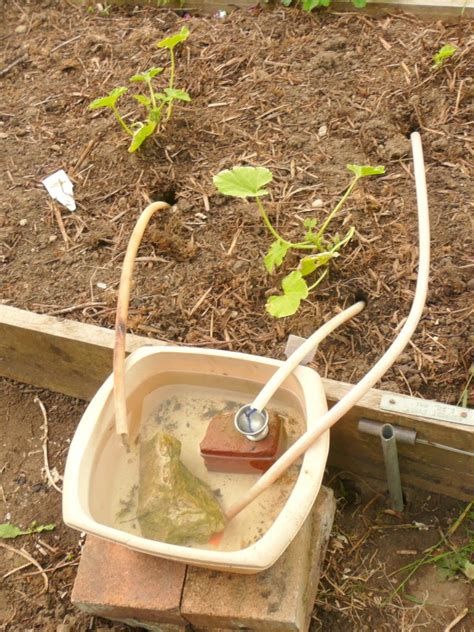 Self Watering Systems For Outdoor Plants Thriftyfun