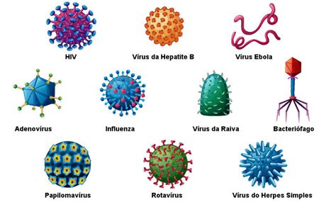 Vírus Estrutura Características Reprodução Doenças Virais