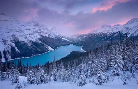 Peyto Lake Banff National Park Winter Landscape Photography Winter