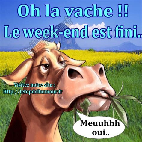 Ho La Vache Le Weekend Est Fini Dimanche Humour Bonne Semaine
