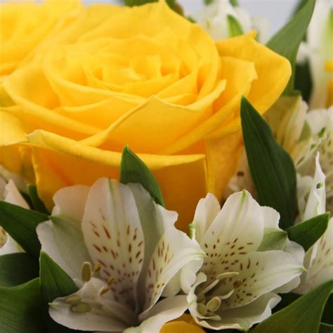 Fiori per augurare buon compleanno. Buon Compleanno Con Fiori Gialli - Buono Compelanno ...