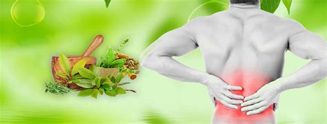 Back Pain And Ayurvedic Treatment Rcm Healthcare Group
