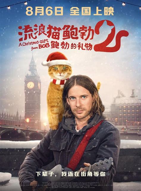 《流浪貓鮑勃2》曝上映海報，原型橘貓鮑勃銀幕絕唱 每日頭條