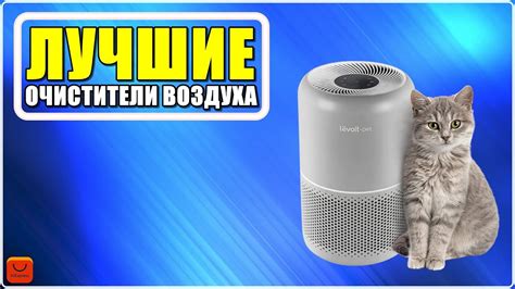 ТОП 4 Лучшие очистители воздуха для дома с АлиЭкспресс [ 2025 Рейтинг ...