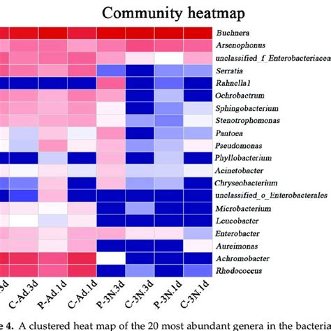 A Clustered Heat Map Of The Most Abundant Genera In The Bacterial Download Scientific