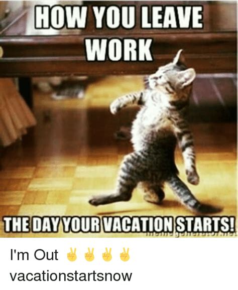 Im On Vacation Memes