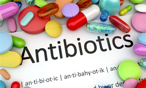 Fungal Antibiotics Online Outlet Save 45 Jlcatjgobmx