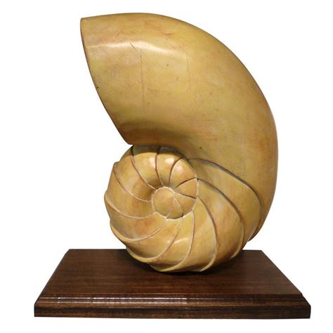 Large Carved Nautilus Shell At 1stdibs
