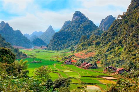 Village And Rice Fields In Vietnam Full Hd Wallpaper And Afalchi Free images wallpape [afalchi.blogspot.com]