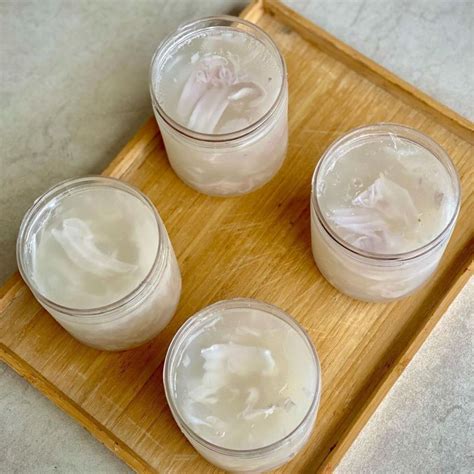 Ini Dia Resep Puding Jelly Kelapa Muda Sajian Pencuci Mulut Yang Lagi