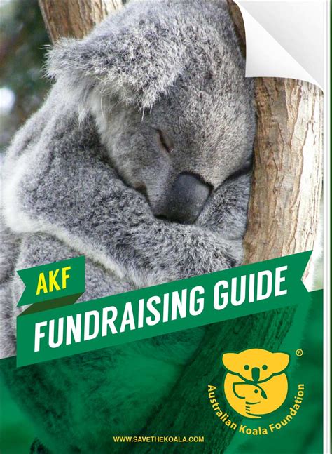 Save The Koala Month Australian Koala Foundation