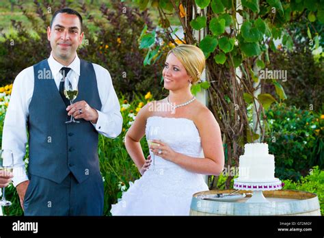 Bride And Groom Wedding Toasts Stock Photo Alamy