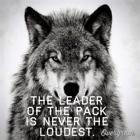 Pin By Andrew Perera On Gentlemanly Warrior Quotes Wolf Quotes Lone
