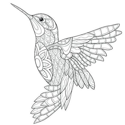 Mandalas Coloring Bird Coloring Pages Hummingbird Drawing Humming